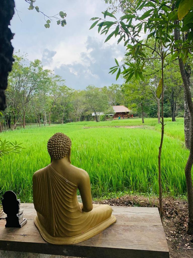 Sahana Retreat Buttala Екстер'єр фото