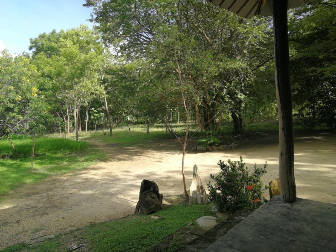 Sahana Retreat Buttala Екстер'єр фото
